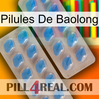 Baolong Pills 23